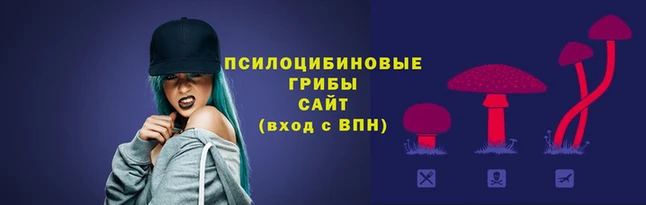 кокс Вязники
