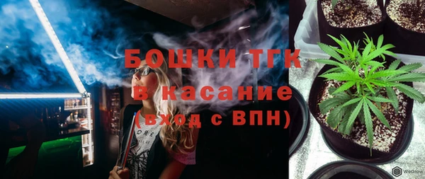 скорость Вяземский